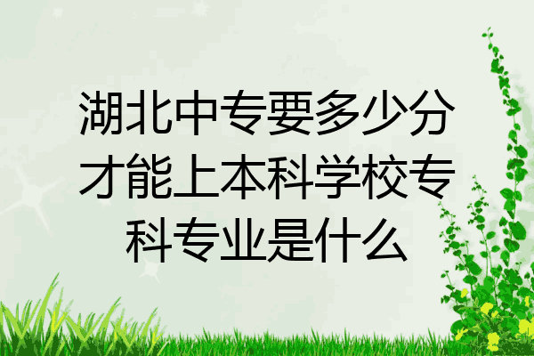 湖北中专要多少分才能上本科学校专科专业是什么
