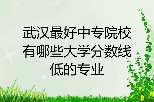 武汉最好中专院校有哪些大学分数线低的专业