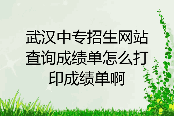 武汉中专招生网站查询成绩单怎么打印成绩单啊