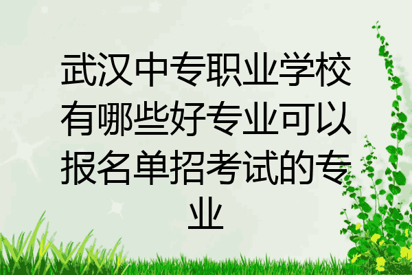 武汉中专职业学校有哪些好专业可以报名单招考试的专业