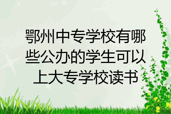 鄂州中专学校有哪些公办的学生可以上大专学校读书