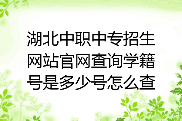 湖北中职中专招生网站官网查询学籍号是多少号怎么查