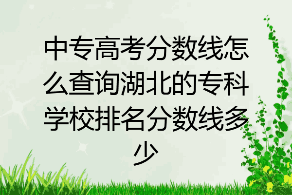 中专高考分数线怎么查询湖北的专科学校排名分数线多少