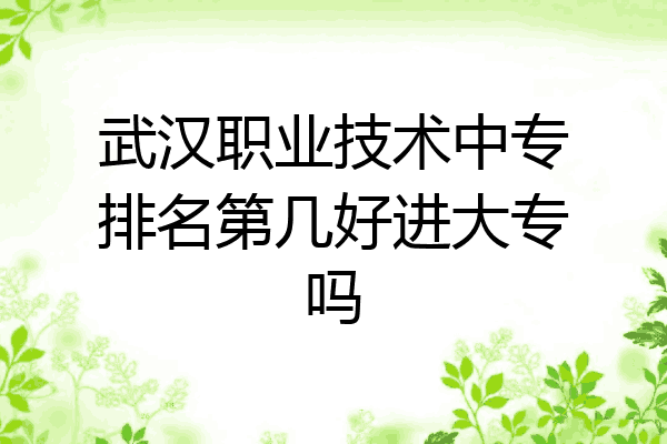 武汉职业技术中专排名第几好进大专吗