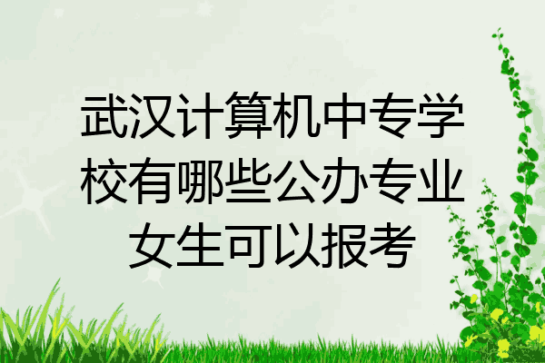 武汉计算机中专学校有哪些公办专业女生可以报考
