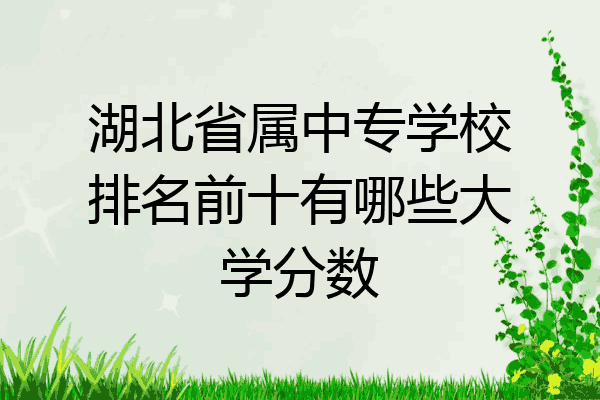 湖北省属中专学校排名前十有哪些大学分数
