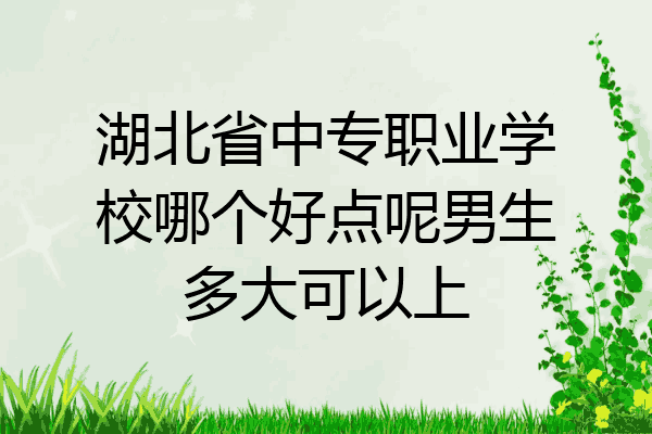 湖北省中专职业学校哪个好点呢男生多大可以上