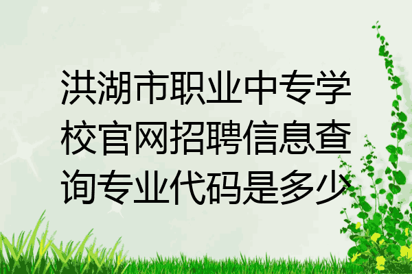 洪湖市职业中专学校官网招聘信息查询专业代码是多少