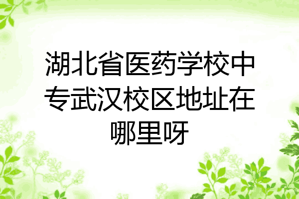 湖北省医药学校中专武汉校区地址在哪里呀