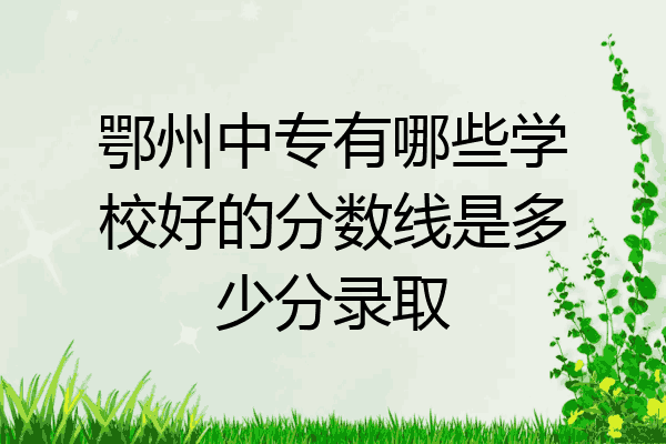 鄂州中专有哪些学校好的分数线是多少分录取