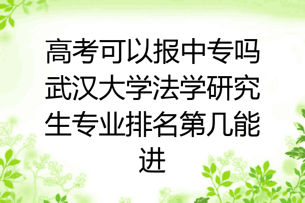 高考可以报中专吗武汉大学法学研究生专业排名第几能进