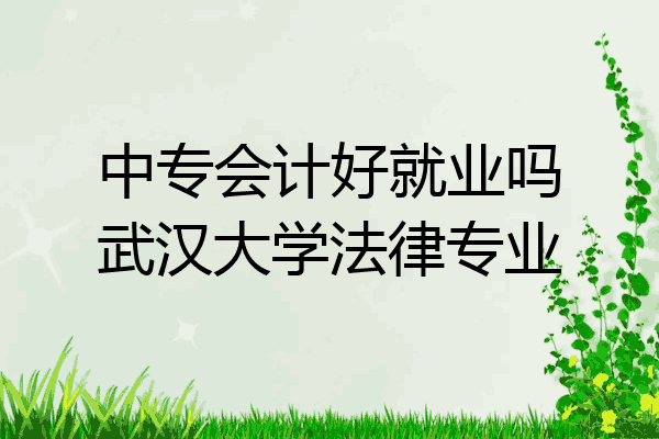 中专会计好就业吗武汉大学法律专业