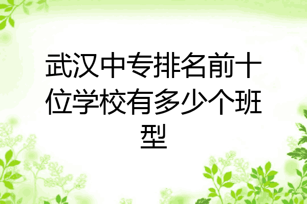 武汉中专排名前十位学校有多少个班型