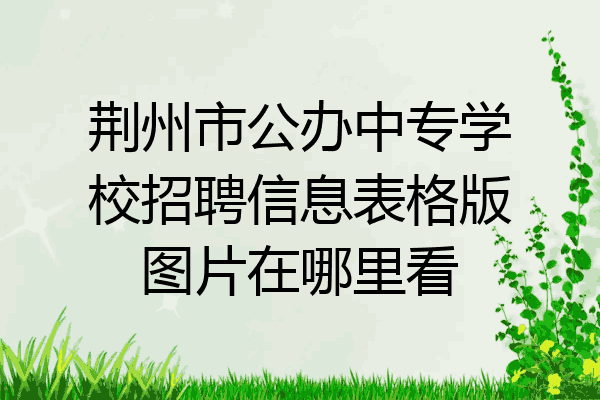 荆州市公办中专学校招聘信息表格版图片在哪里看