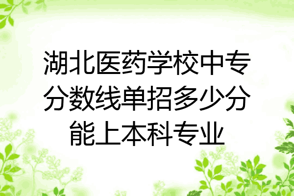 湖北医药学校中专分数线单招多少分能上本科专业