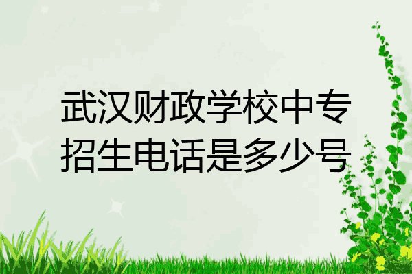 武汉财政学校中专招生电话是多少号