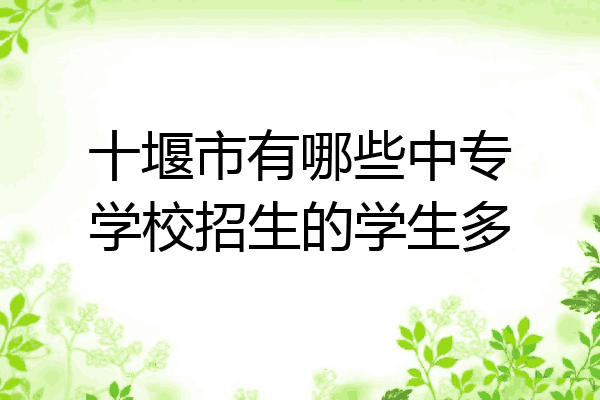 十堰市有哪些中专学校招生的学生多