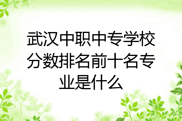 武汉中职中专学校分数排名前十名专业是什么