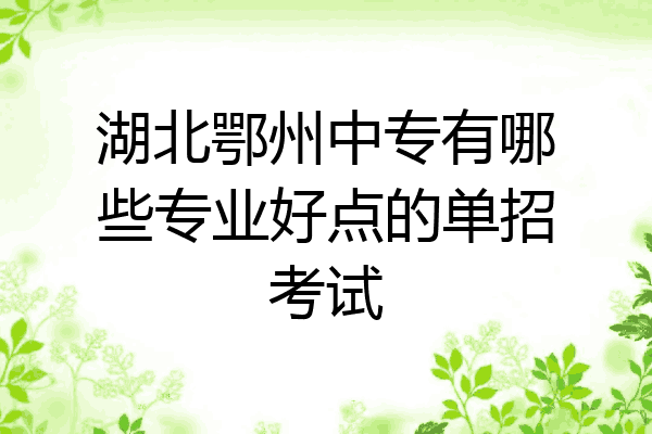 湖北鄂州中专有哪些专业好点的单招考试