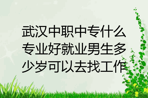 武汉中职中专什么专业好就业男生多少岁可以去找工作