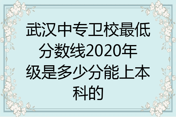 武汉中专卫校最低分数线2020年级是多少分能上本科的