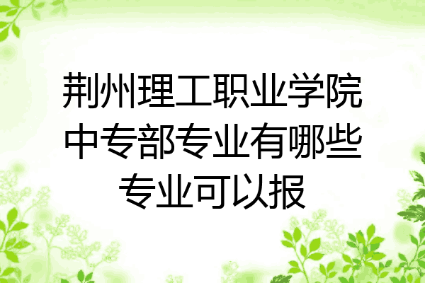 荆州理工职业学院中专部专业有哪些专业可以报