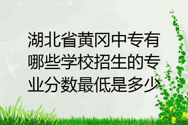 湖北省黄冈中专有哪些学校招生的专业分数最低是多少