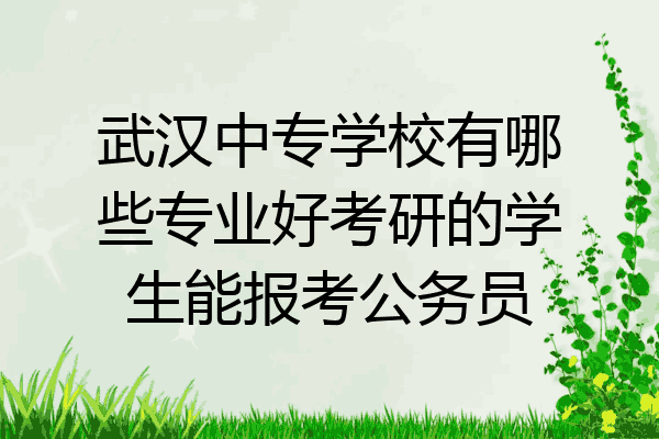 武汉中专学校有哪些专业好考研的学生能报考公务员