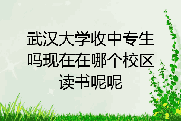 武汉大学收中专生吗现在在哪个校区读书呢呢
