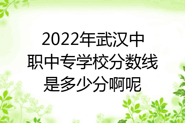 2022年武汉中职中专学校分数线是多少分啊呢