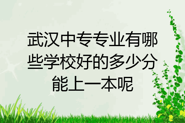 武汉中专专业有哪些学校好的多少分能上一本呢