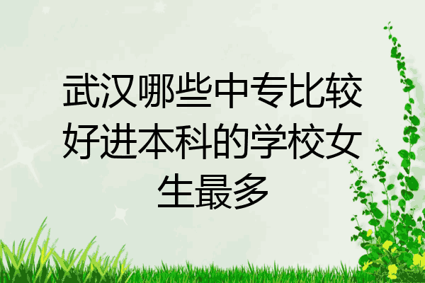 武汉哪些中专比较好进本科的学校女生最多