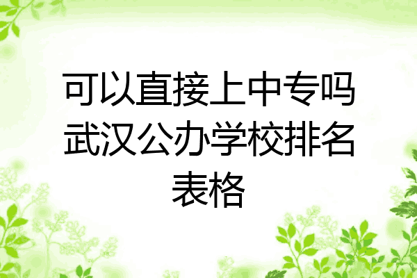 可以直接上中专吗武汉公办学校排名表格