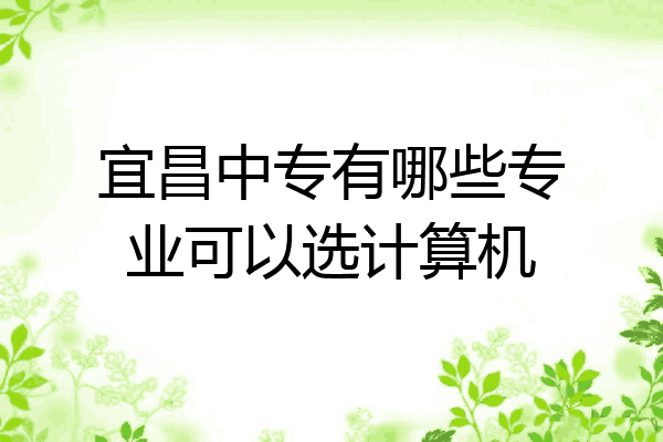 宜昌中专有哪些专业可以选计算机