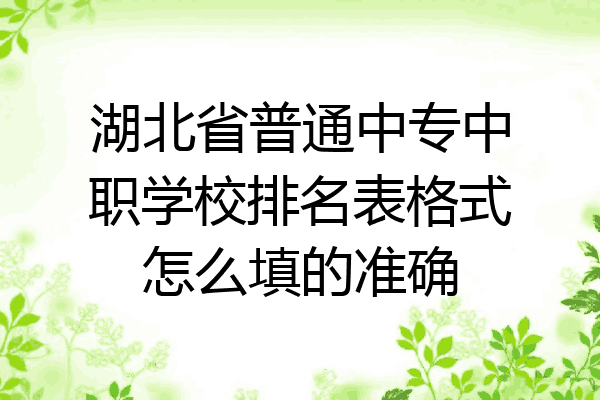 湖北省普通中专中职学校排名表格式怎么填的准确