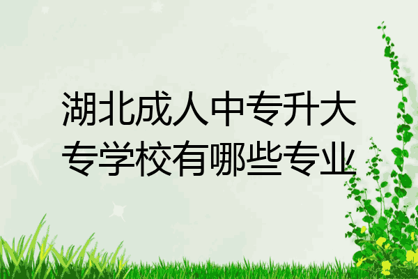 湖北成人中专升大专学校有哪些专业