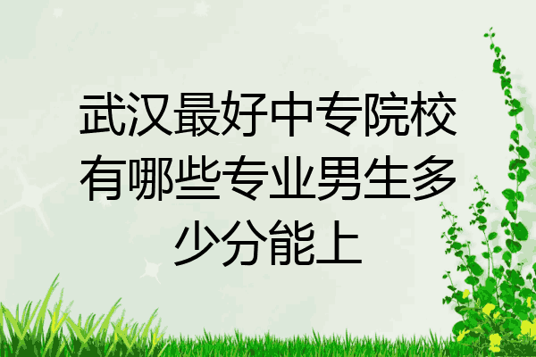 武汉最好中专院校有哪些专业男生多少分能上