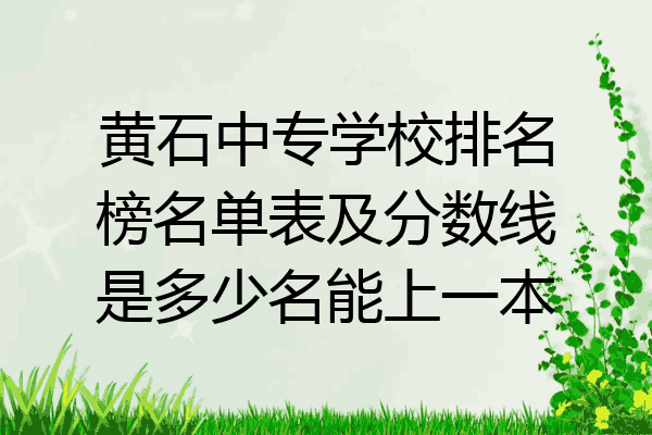 黄石中专学校排名榜名单表及分数线是多少名能上一本