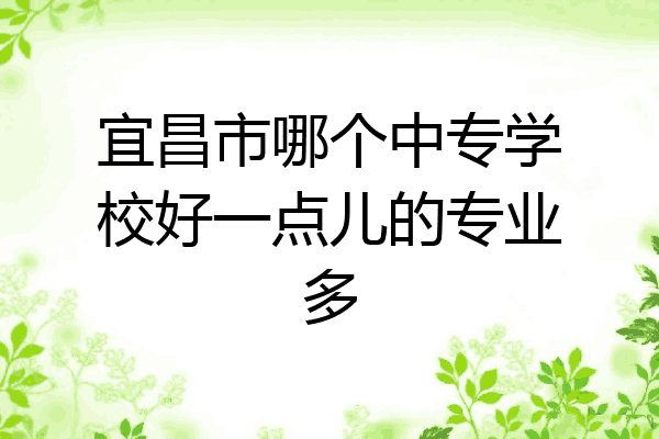 宜昌市哪个中专学校好一点儿的专业多