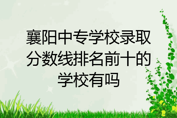 襄阳中专学校录取分数线排名前十的学校有吗