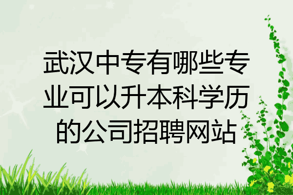 武汉中专有哪些专业可以升本科学历的公司招聘网站