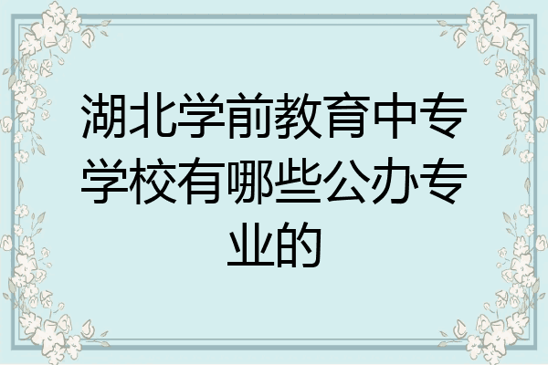 湖北学前教育中专学校有哪些公办专业的