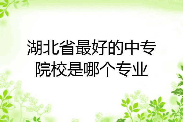湖北省最好的中专院校是哪个专业
