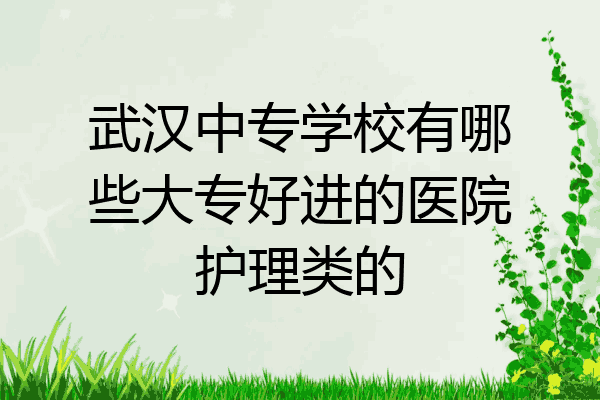 武汉中专学校有哪些大专好进的医院护理类的