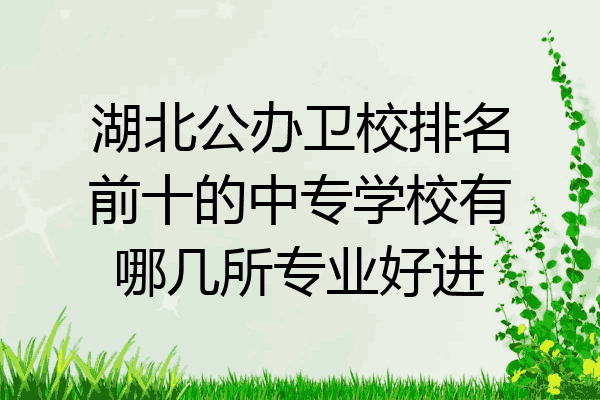 湖北公办卫校排名前十的中专学校有哪几所专业好进