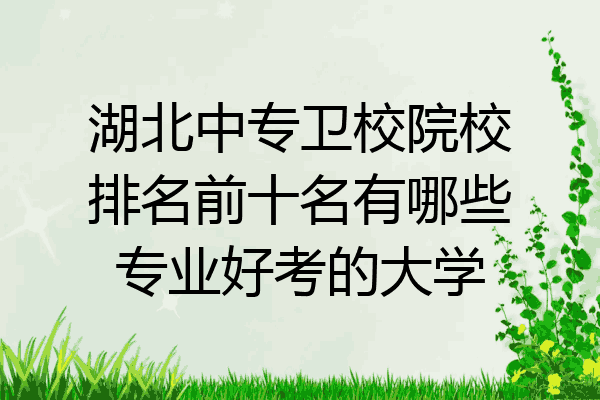 湖北中专卫校院校排名前十名有哪些专业好考的大学