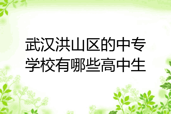 武汉洪山区的中专学校有哪些高中生