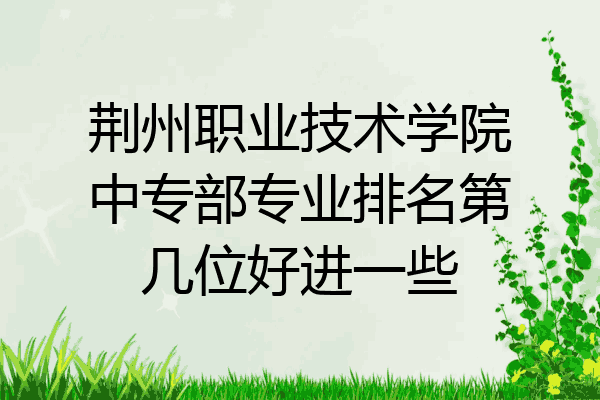 荆州职业技术学院中专部专业排名第几位好进一些