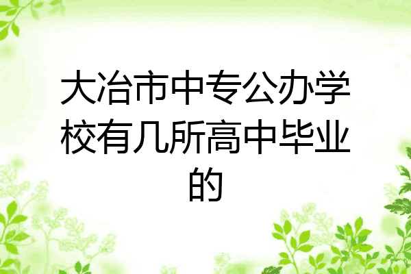 大冶市中专公办学校有几所高中毕业的
