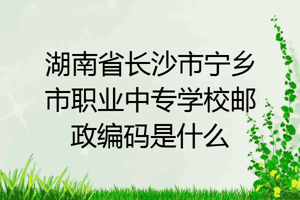 湖南省长沙市宁乡市职业中专学校邮政编码是什么